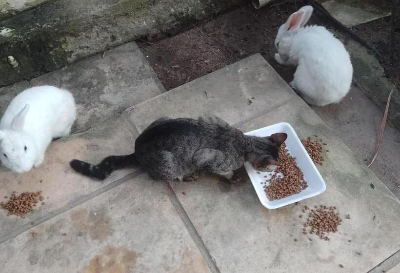 Pension Suíte / Falesias De Carapibus