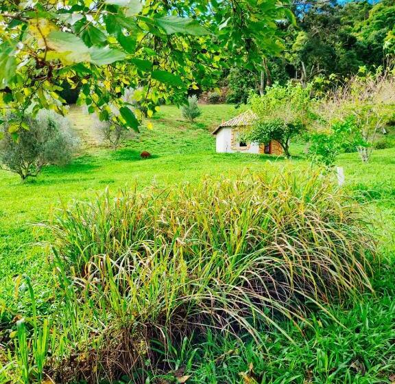 Общежитие Espaço Lua Branca