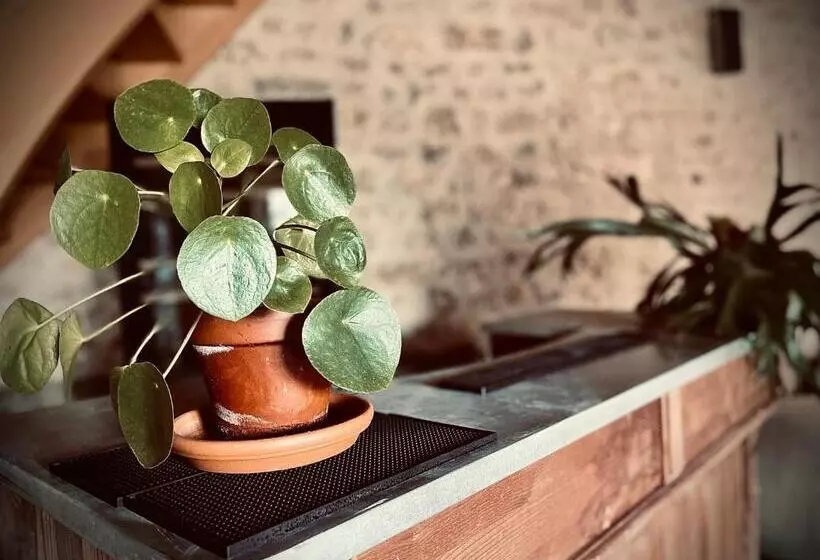 Aamiaismajoitus (B&B) Le Clos De L Olivier