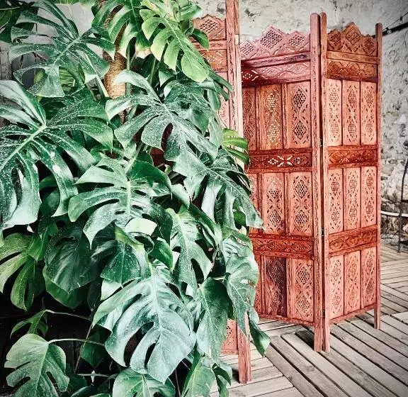 Aamiaismajoitus (B&B) Le Clos De L Olivier