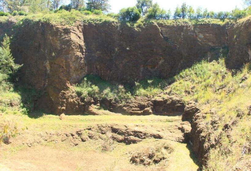 هتل Juniper Green Gardens