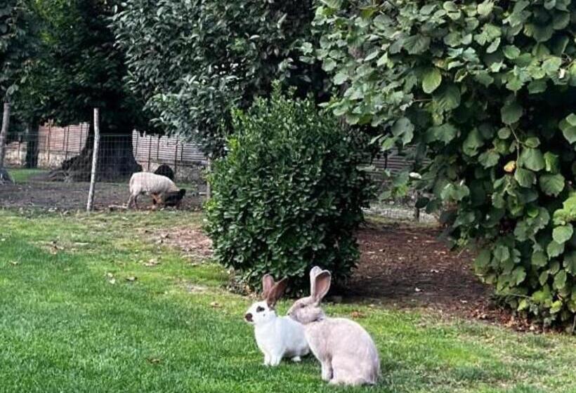 펜션 Chambres D Hôtes Rénovées Avec Piscine, Cœur De Ville, Proche Zoo Et Prytanée, Petit Déj Inclus   Fr