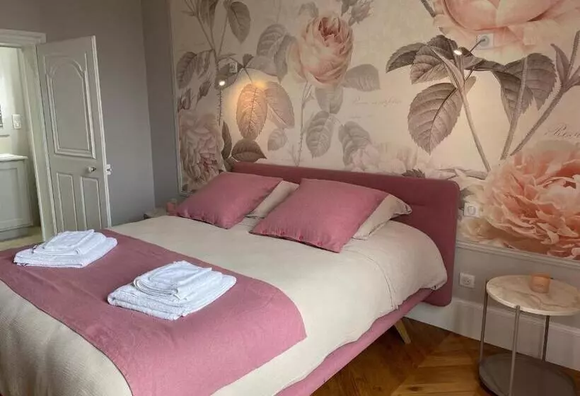 ペンション Chambres D Hôtes Rénovées Avec Piscine, Cœur De Ville, Proche Zoo Et Prytanée, Petit Déj Inclus   Fr