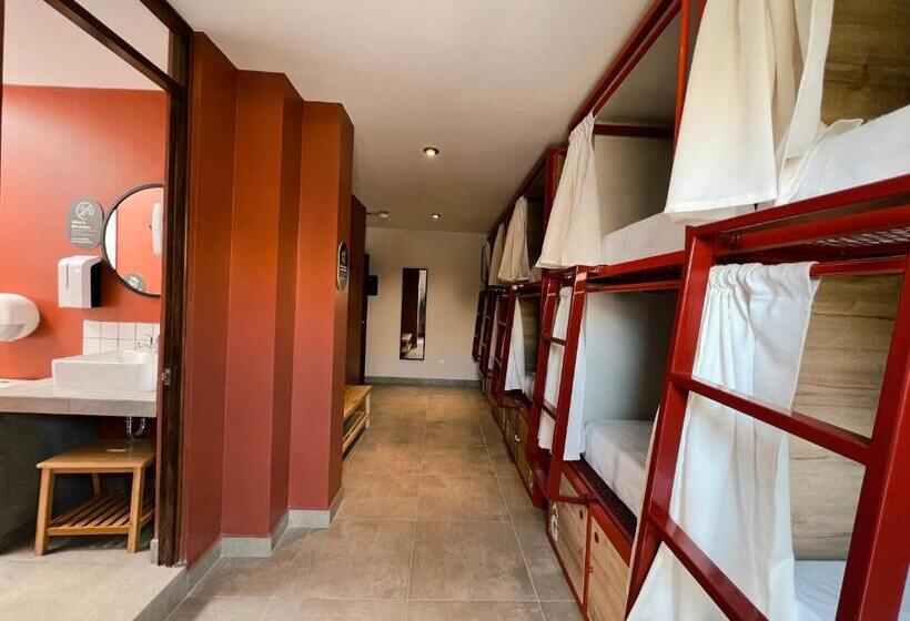 پانسیون Viajero Huacachina Hostel