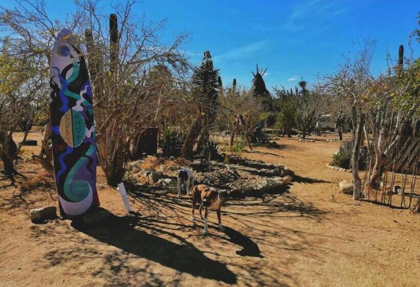 فندق صغير Boat House At Espacio Amor