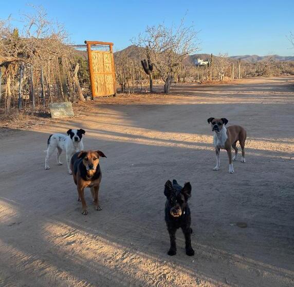 فندق صغير Boat House At Espacio Amor