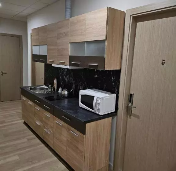 هاستل Kauno Apartamentai King Size Bed