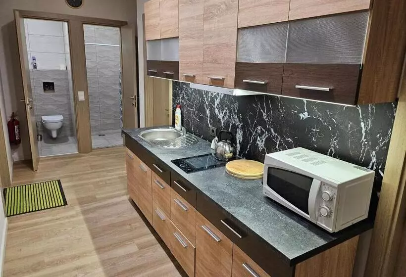 هاستل Kauno Apartamentai King Size Bed