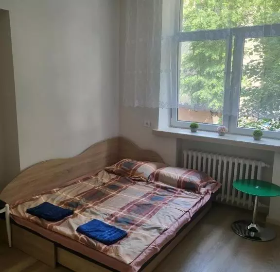 هاستل Kauno Apartamentai King Size Bed