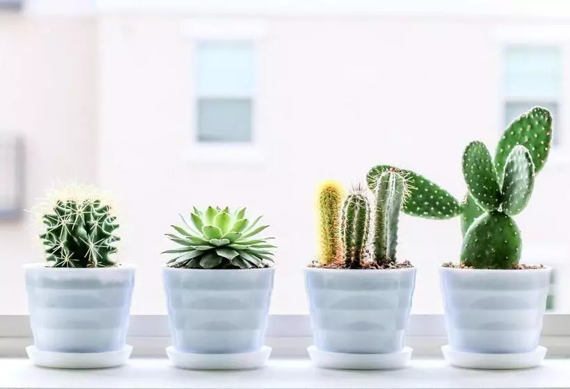 ホテル 44 Residence And Resort