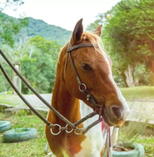 Hotelli Capivari Ecoresort Residence