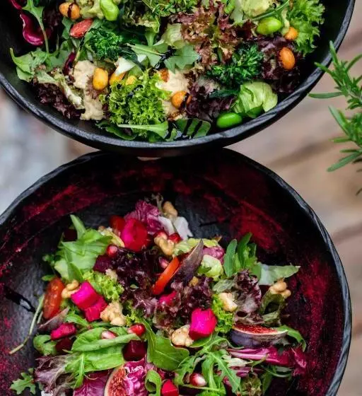 ホテル Loxone Campus