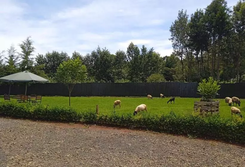 هتل Mwahe Resort