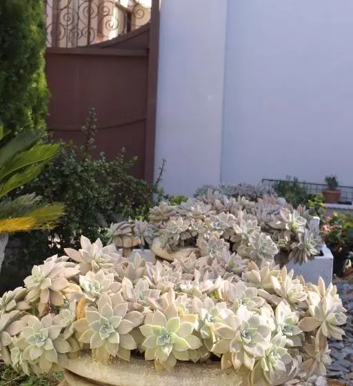 ペンション Accommodation At Potch Guesthouse
