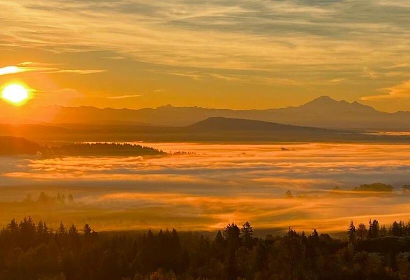 Panzió Derbyshire House