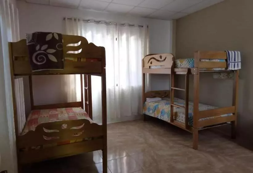 ベッドアンドブレックファースト Casa Pinto   Hostel Habitación Compartida