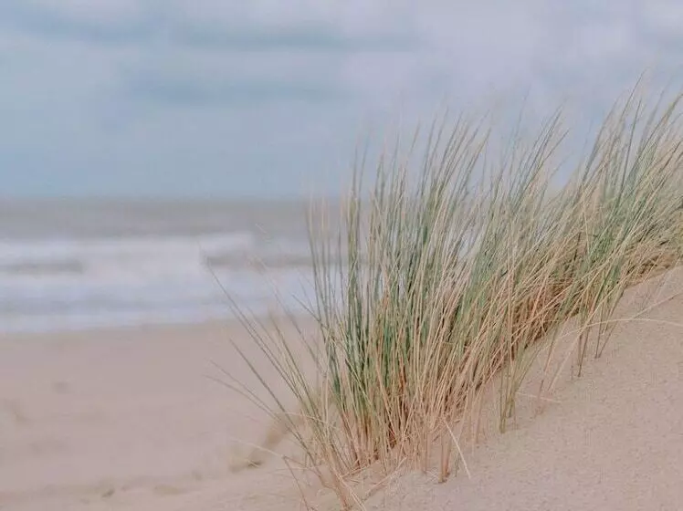 Hotelli Dunas De Formentera