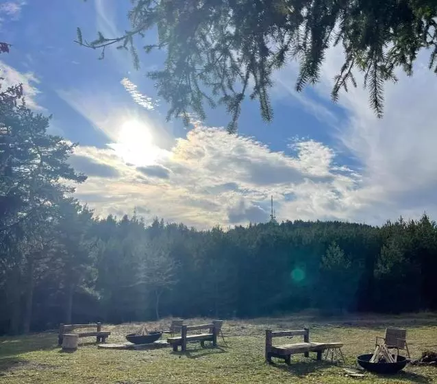 Hotel Forest View
