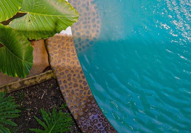 هتل Papaya Surf Garden