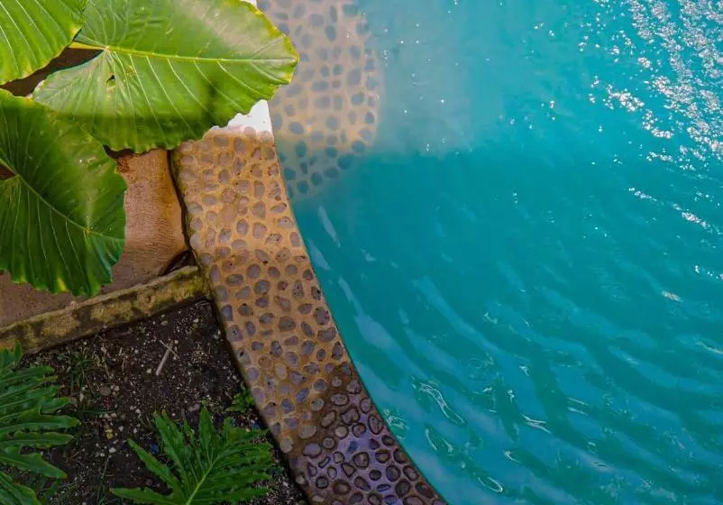 ホテル Papaya Surf Garden