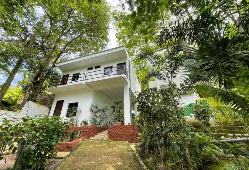 هتل Papaya Surf Garden