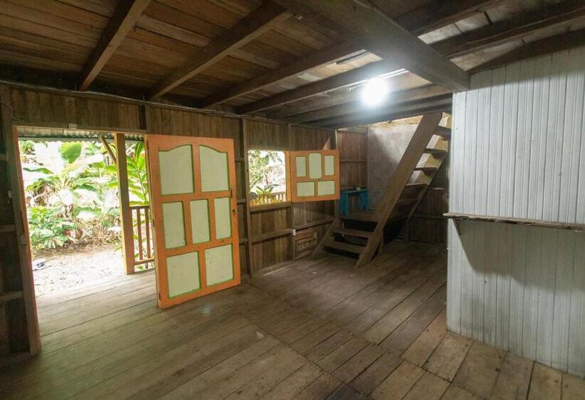 Pension Hostal Bahía Solano Herping