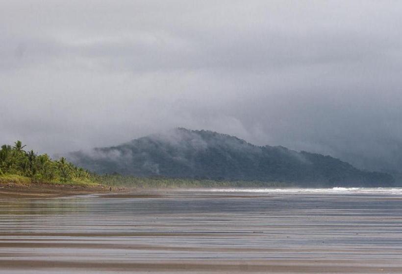 Pension Hostal Bahía Solano Herping