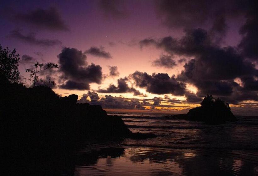 Pension Hostal Bahía Solano Herping