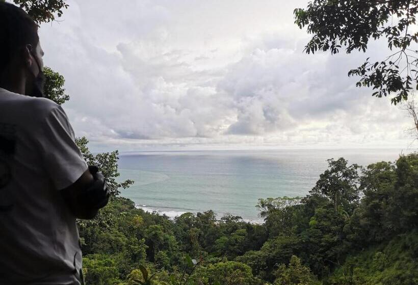 Pension Hostal Bahía Solano Herping