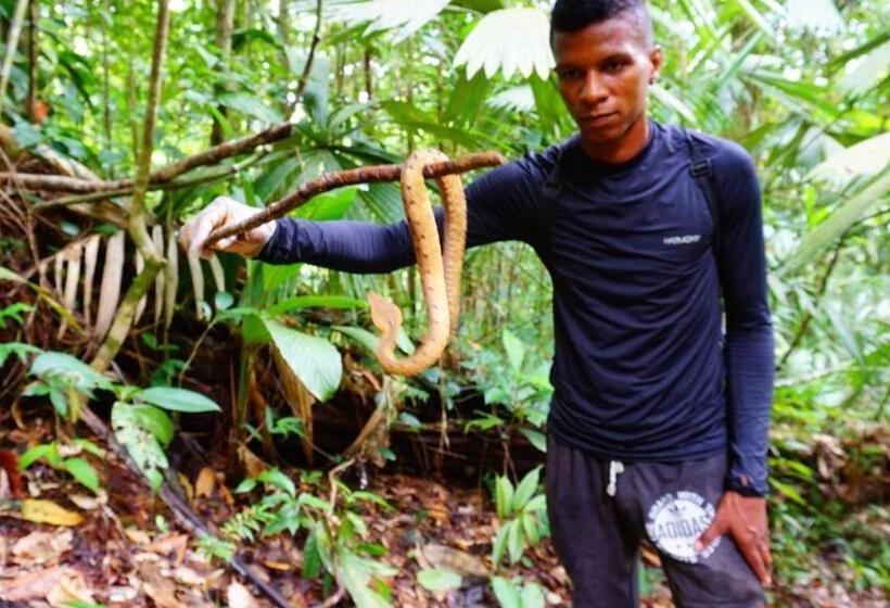 Pension Hostal Bahía Solano Herping