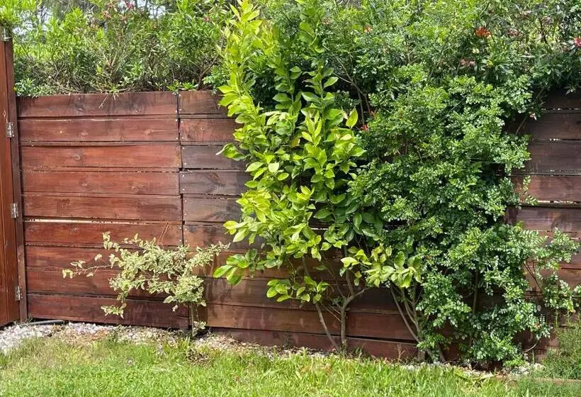 Majatalo Naturista Exclusivo Hombres