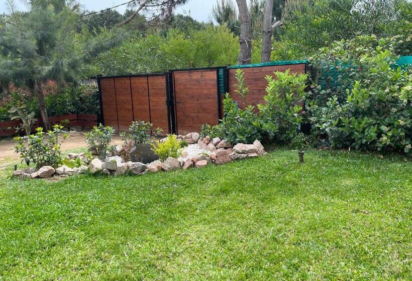 פנסיון Naturista Exclusivo Hombres