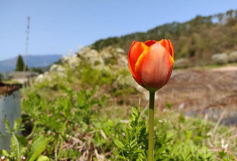 פנסיון Usuke Guesthouse Vacation Stay 85515v