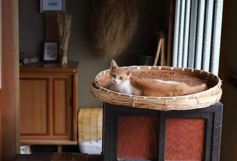 Majatalo Usuke Minpaku