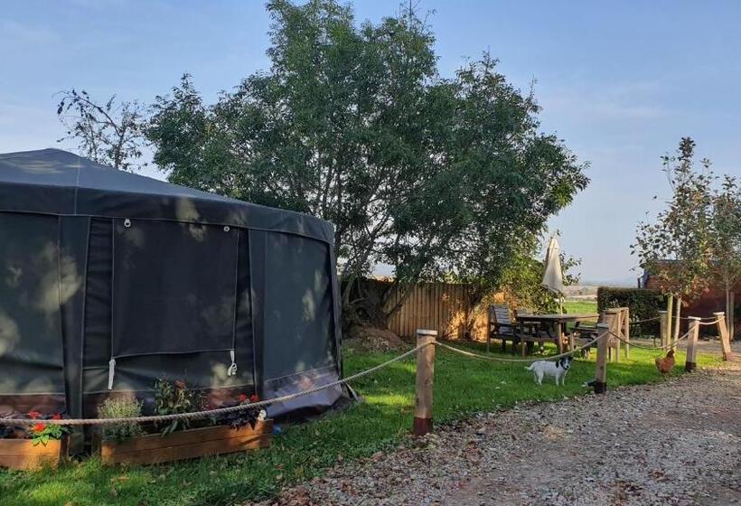 بنسيون Willow Hill Farm Club