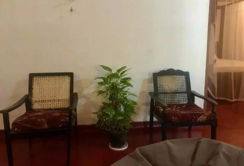 ベッドアンドブレックファースト Beach House Madiha