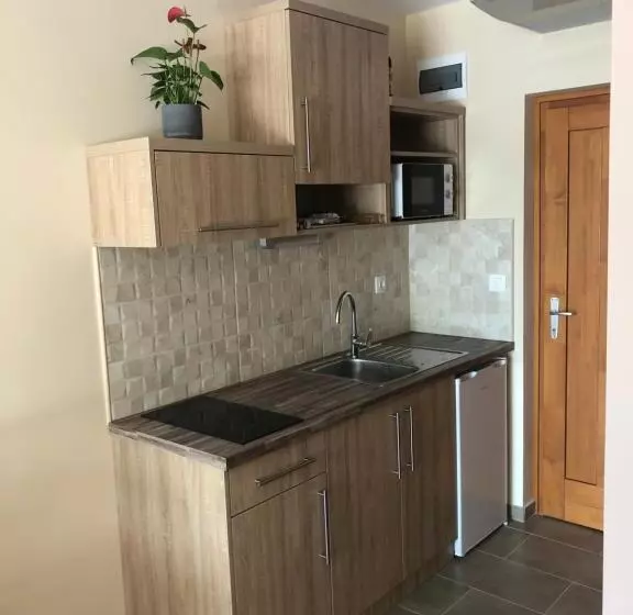 Aamiaismajoitus (B&B) Castellum Apartmanház