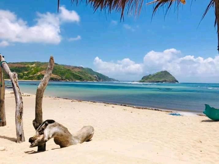 Bed and Breakfast Jeju Cottages