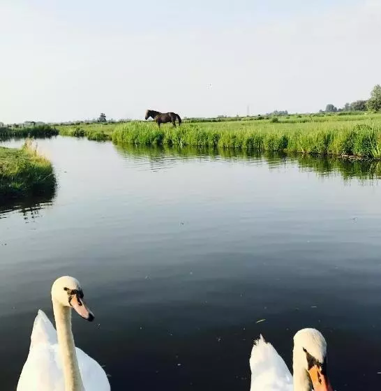 Aamiaismajoitus (B&B) Oude Postkantoor De Rijp