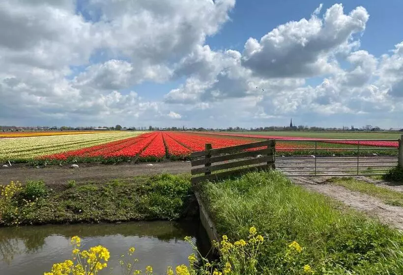 Aamiaismajoitus (B&B) Oude Postkantoor De Rijp