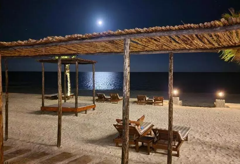 Dream Of Zanzibar Resort & Spa   Premium All Inclusive