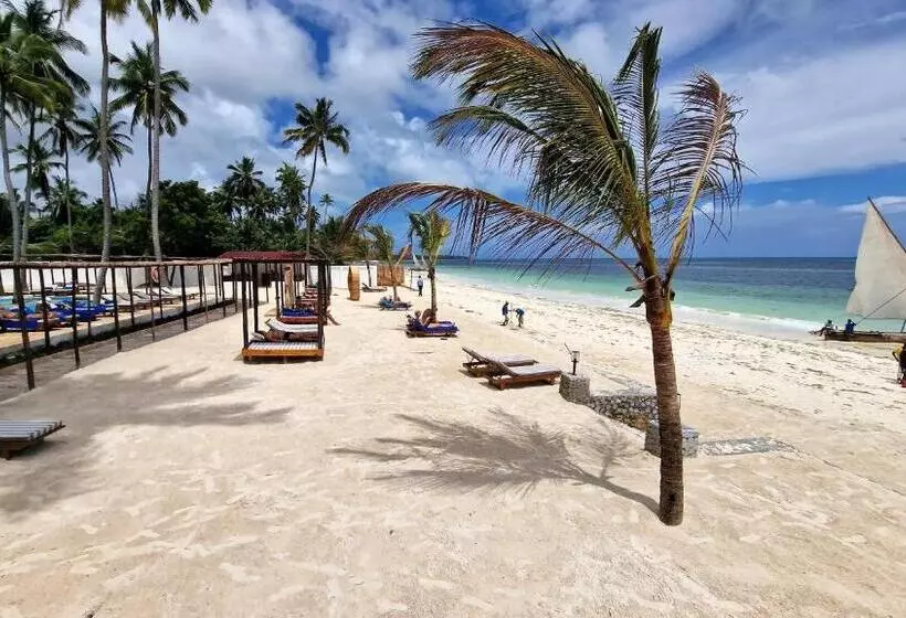 Dream Of Zanzibar Resort & Spa   Premium All Inclusive