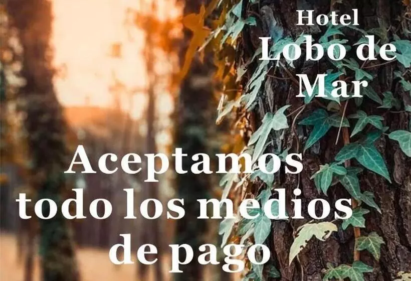 ホテル Lobo De Mar   Necochea