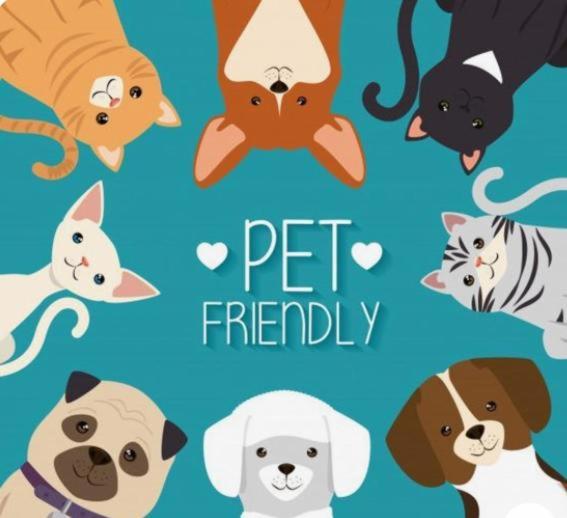 Szálloda Lobo De Mar   Necochea