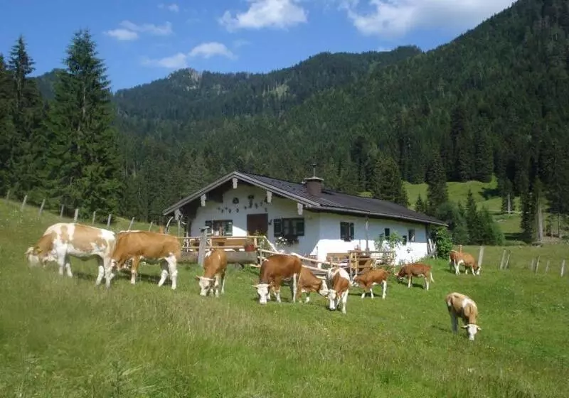 هتل Schneider Hof