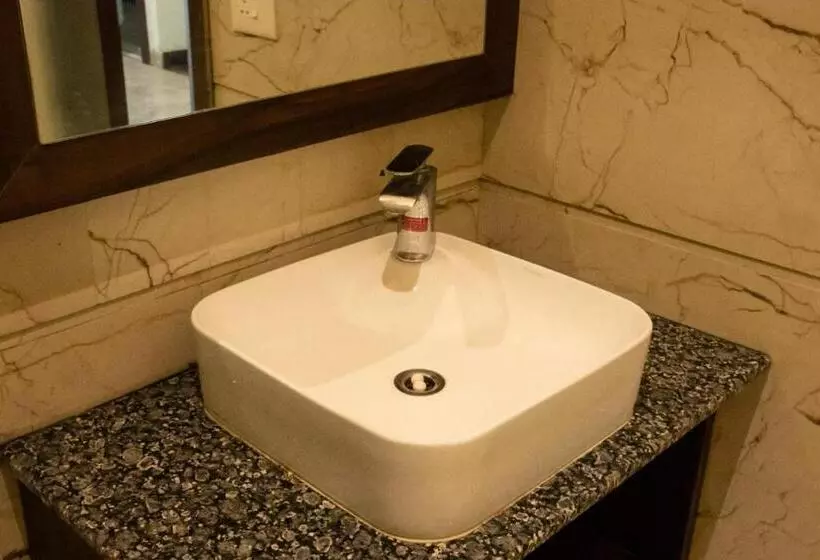 هتل Sourav Park Inn