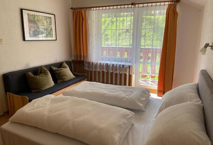 בית מלון כפרי U Studánky