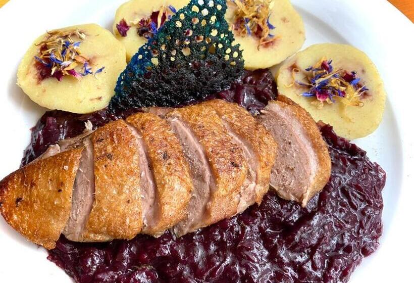 בית מלון כפרי U Studánky