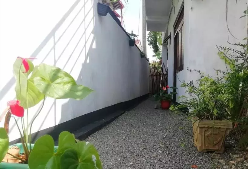 Majatalo New Coral Garden Weligama