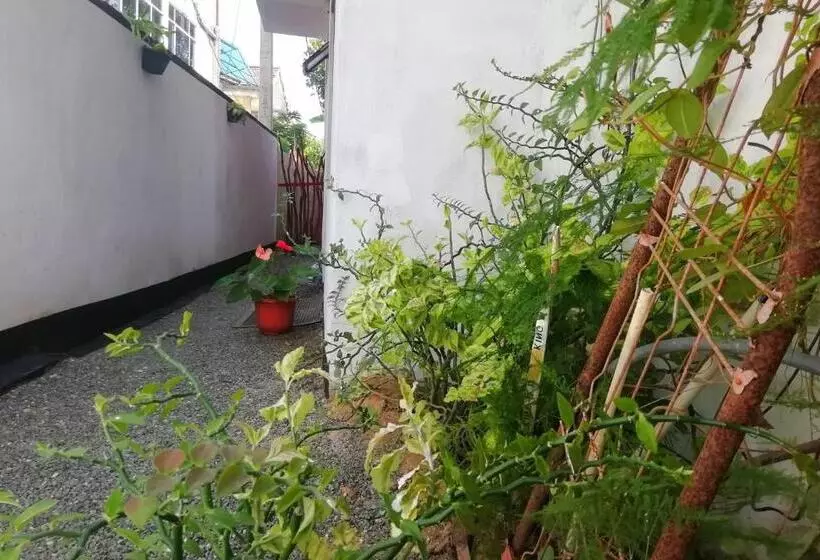 Majatalo New Coral Garden Weligama